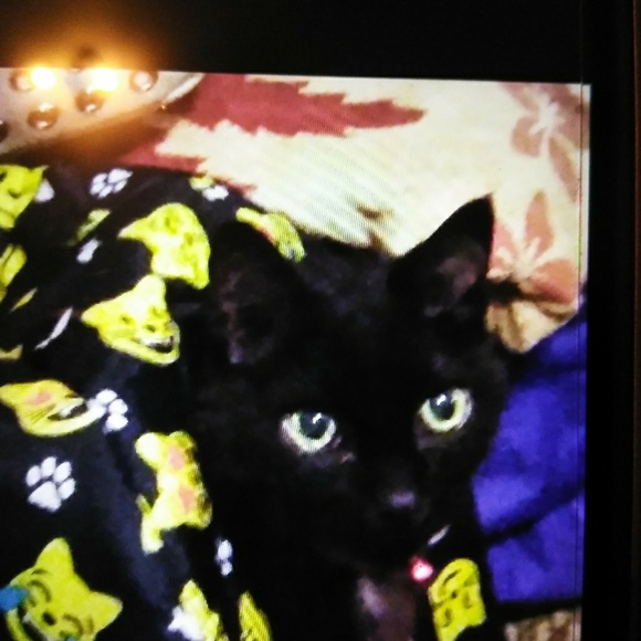 Meet your Posher,Doreen&ONE POSH PLACE BOUTIQUE🌹 - Picture 6 of 8